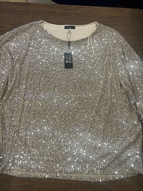 Cable & Gauge Silver Sequin Short Sleeve Sparkle Top